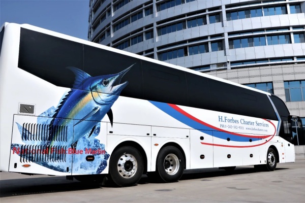 开往巴哈马！中通带你体验DIY客车，畅游加勒比