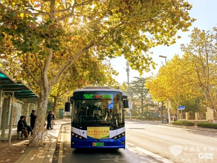 青岛巴士“移动秋景房”上路