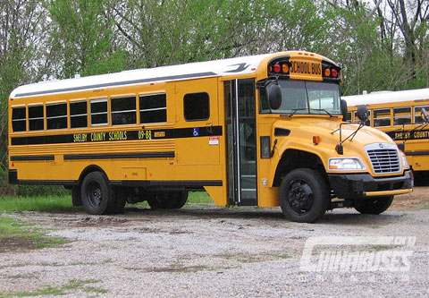 蓝鸟 Vision(于2008-现在间生产)