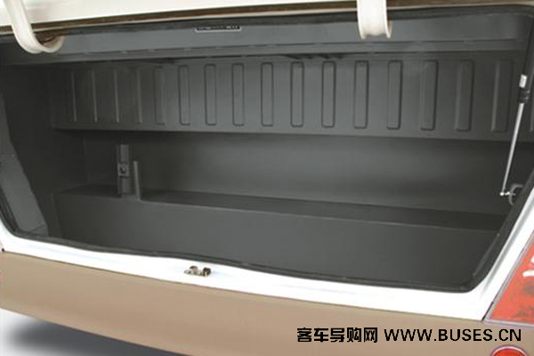 少林SLG6608T5E客车（天然气国五10-19座）