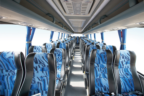 申龙SLK6118S5A3客车（柴油国四24-53座）