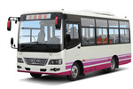 少林SLG6667C5GF公交车（柴油国五10-25座）