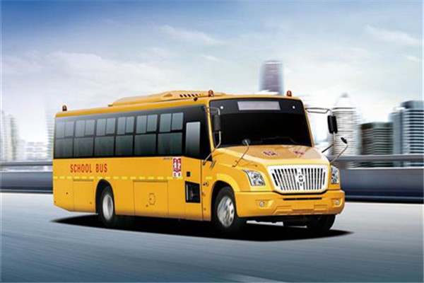 亚星JS6100XCP小学生专用校车（柴油国五24-56座）