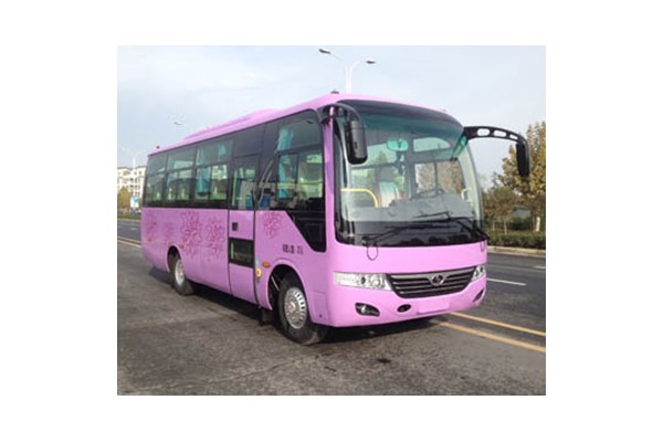 少林SLG6752C5E客车（柴油国五24-31座）
