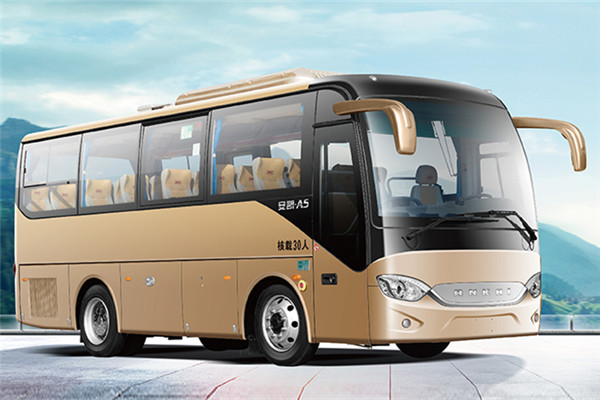 安凯HFF6781KDE5B客车（柴油国五24-32座）