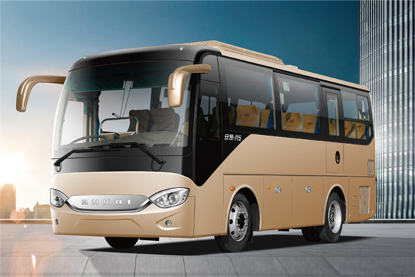 安凯HFF6781KDE5B客车（柴油国五24-32座）