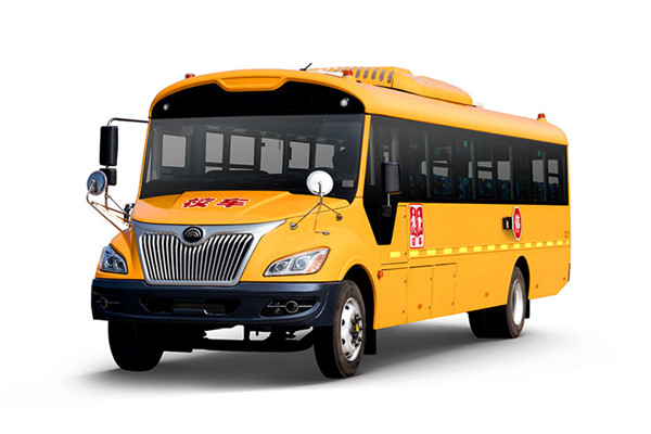 宇通ZK6995DX52小学生专用校车（柴油国五24-56座）